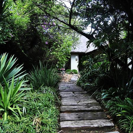 Birch Tree Cottage 요하네스버그 외부 사진